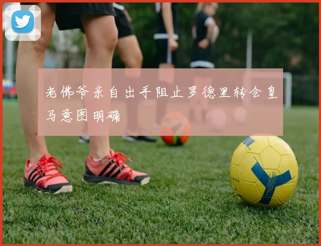 老佛爷亲自出手阻止罗德里转会皇马意图明确