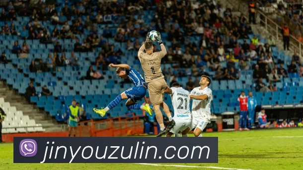 九游体育在线登录入口平台生态图